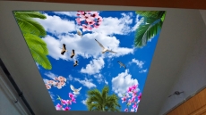 Barisol gergi tavan  modelleri