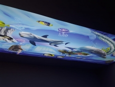 Barisol gergi tavan  modelleri