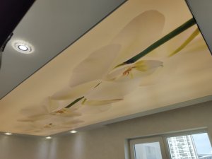 Transparan gergi tavan  modelleri