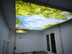 Barisol gergi tavan  modelleri