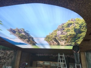 Şirket Lobi Gergi Tavan Aydınlatma