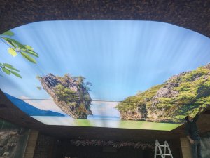 Barisol gergi tavan  modelleri