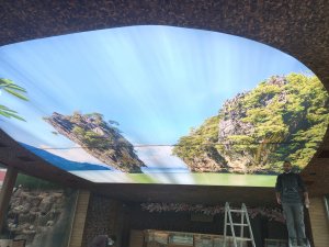 Barisol gergi tavan  modelleri