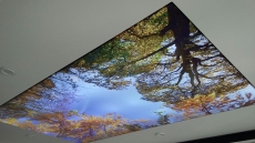 Barisol gergi tavan  modelleri