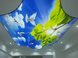 Barisol gergi tavan  modelleri