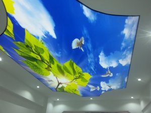 Güngörende Gökyüzü Gergi Tavan