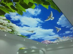 Barisol gergi tavan  modelleri