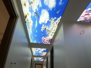 Barisol gergi tavan  modelleri