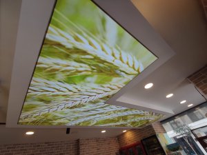 Barisol gergi tavan  modelleri