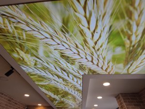 İkitelli gergi tavan montajı