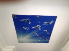 Giresun gergi tavan üretim merkezi fiyatları