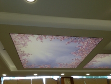 Çanakkale gergi tavan malzemesi üretimi