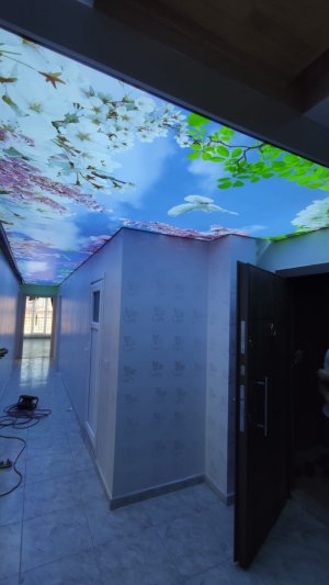 Barisol gergi tavan  modelleri