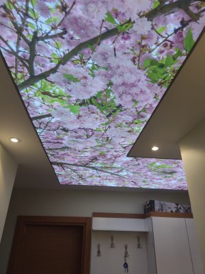 Barisol gergi tavan  modelleri