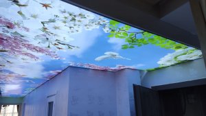 Barisol gergi tavan  modelleri