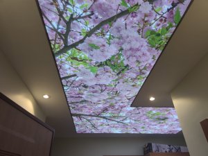 Barisol gergi tavan  modelleri