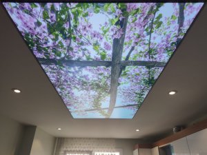 Barisol gergi tavan  modelleri