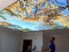 Lake gergi tavan modelleri