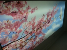 Lake gergi tavan modelleri