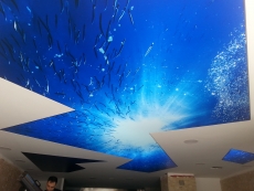 Lake gergi tavan modelleri