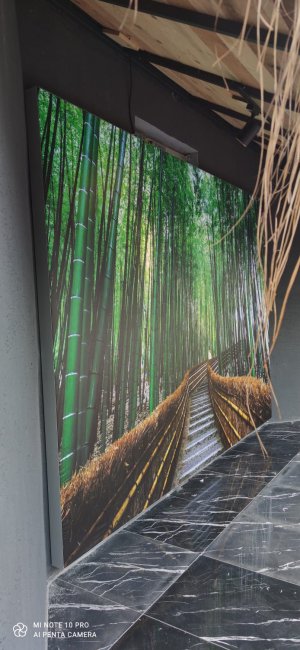 Barisol gergi tavan  modelleri