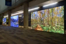 ışıklı mağaza reklam panoları  iç mekan