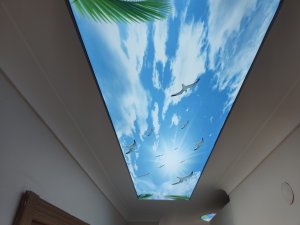 Barisol gergi tavan  modelleri