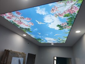 Barisol gergi tavan  modelleri