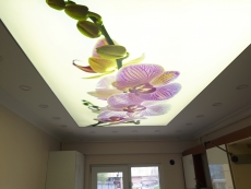 Transparan gergi tavan  modelleri