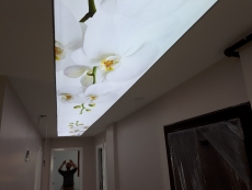 Transparan gergi tavan  modelleri