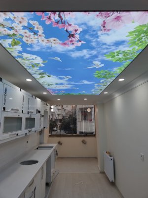 Barisol gergi tavan  modelleri