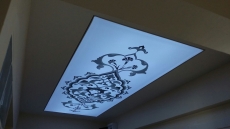 Barisol gergi tavan  modelleri