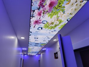 Barisol gergi tavan  modelleri