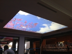 Denizli gergi tavan malzeme fiyatları listesi