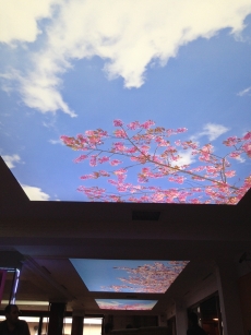 Barisol gergi tavan  modelleri