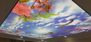 Barisol gergi tavan  modelleri