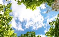 Gökyüzü/bitki gergi tavan modelleri