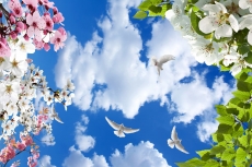 Gökyüzü/bitki gergi tavan modelleri