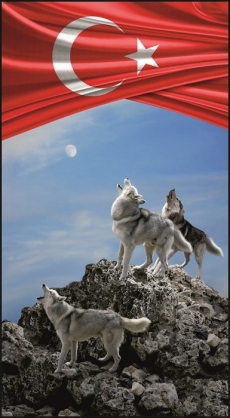 BAYRAK VE LOGOLAR gergi tavan modelleri