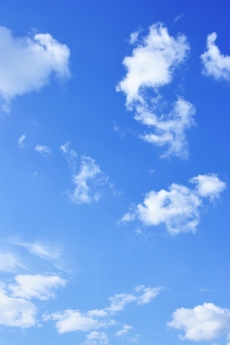 Sade Bulut gergi tavan modelleri