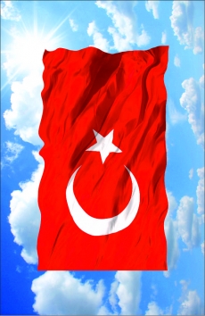 BAYRAK VE LOGOLAR gergi tavan modelleri