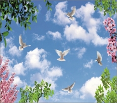 Kuş Resimleri gergi tavan modelleri