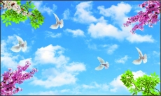 Kuş Resimleri gergi tavan modelleri