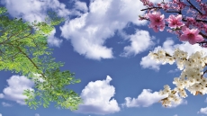 Gökyüzü/bitki gergi tavan modelleri