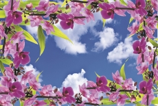 Gökyüzü/bitki gergi tavan modelleri