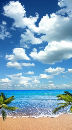 Gökyüzü/bitki gergi tavan modelleri