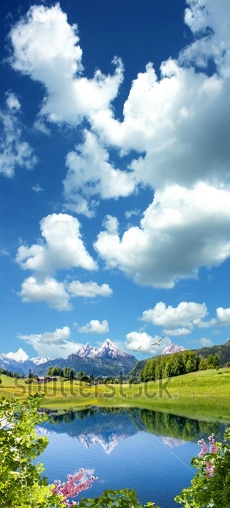 Gökyüzü/bitki gergi tavan modelleri