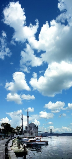 Gökyüzü/bitki gergi tavan modelleri