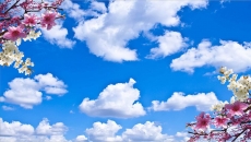 Gökyüzü/bitki gergi tavan modelleri