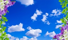 Gökyüzü/bitki gergi tavan modelleri